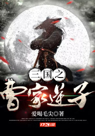 三国之曹家逆子 三国之曹家逆子